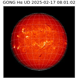 gong - 2025-02-17T08:01:02