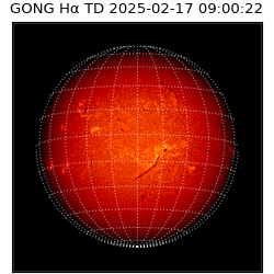 gong - 2025-02-17T09:00:22
