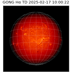 gong - 2025-02-17T10:00:22