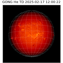 gong - 2025-02-17T12:00:22