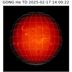 gong - 2025-02-17T14:00:22