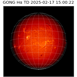 gong - 2025-02-17T15:00:22