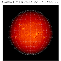 gong - 2025-02-17T17:00:22
