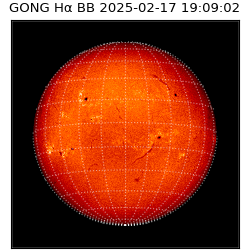 gong - 2025-02-17T19:09:02