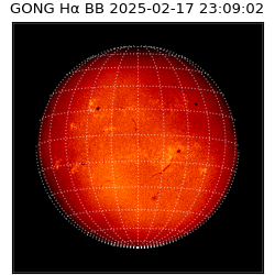 gong - 2025-02-17T23:09:02