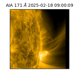 saia - 2025-02-18T09:00:09.350000