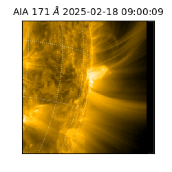 saia - 2025-02-18T09:00:09.350000