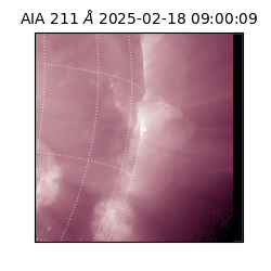 saia - 2025-02-18T09:00:09.629000