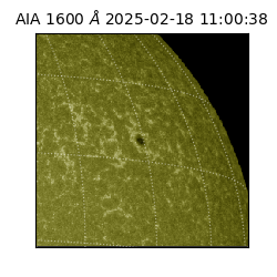 saia - 2025-02-18T11:00:38.132000