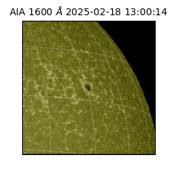 saia - 2025-02-18T13:00:14.125000