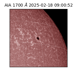 saia - 2025-02-18T09:00:52.717000