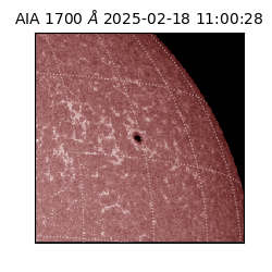 saia - 2025-02-18T11:00:28.717000