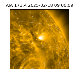 saia - 2025-02-18T09:00:09.350000