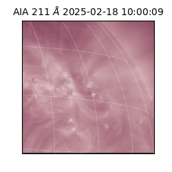 saia - 2025-02-18T10:00:09.626000