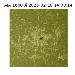 saia - 2025-02-18T14:00:14.125000