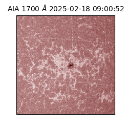 saia - 2025-02-18T09:00:52.717000