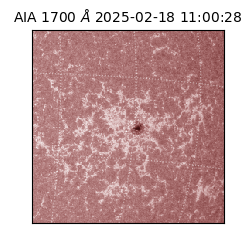 saia - 2025-02-18T11:00:28.717000