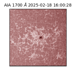 saia - 2025-02-18T16:00:28.720000