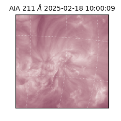 saia - 2025-02-18T10:00:09.626000