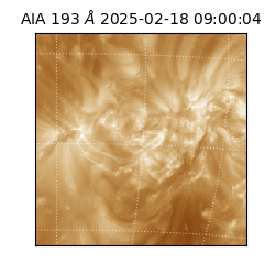 saia - 2025-02-18T09:00:04.843000