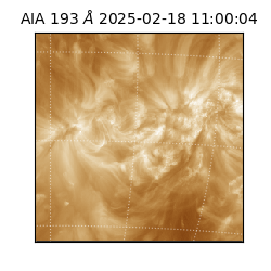 saia - 2025-02-18T11:00:04.843000