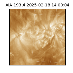 saia - 2025-02-18T14:00:04.843000