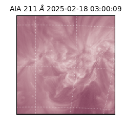 saia - 2025-02-18T03:00:09.626000