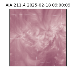 saia - 2025-02-18T09:00:09.629000