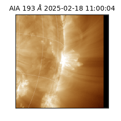 saia - 2025-02-18T11:00:04.843000