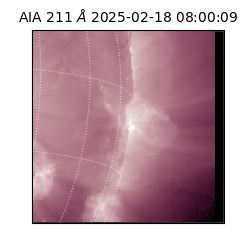 saia - 2025-02-18T08:00:09.629000