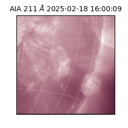 saia - 2025-02-18T16:00:09.625000