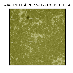 saia - 2025-02-18T09:00:14.126000