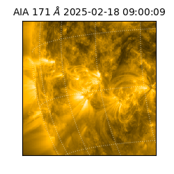 saia - 2025-02-18T09:00:09.350000