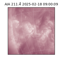 saia - 2025-02-18T09:00:09.629000