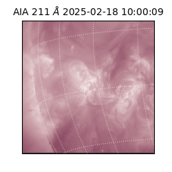 saia - 2025-02-18T10:00:09.626000