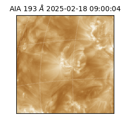 saia - 2025-02-18T09:00:04.843000