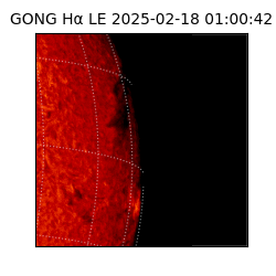 gong - 2025-02-18T01:00:42