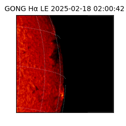 gong - 2025-02-18T02:00:42