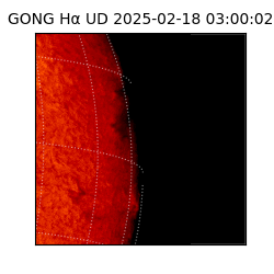 gong - 2025-02-18T03:00:02