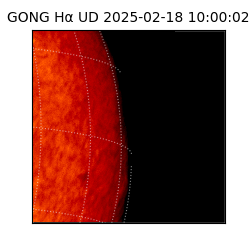 gong - 2025-02-18T10:00:02