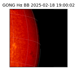 gong - 2025-02-18T19:00:02