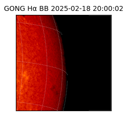 gong - 2025-02-18T20:00:02