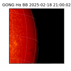 gong - 2025-02-18T21:00:02