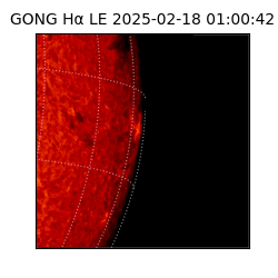 gong - 2025-02-18T01:00:42