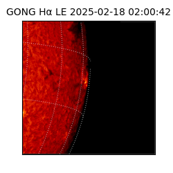 gong - 2025-02-18T02:00:42
