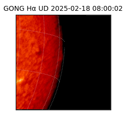 gong - 2025-02-18T08:00:02