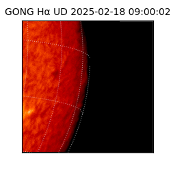 gong - 2025-02-18T09:00:02