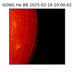 gong - 2025-02-18T20:00:02