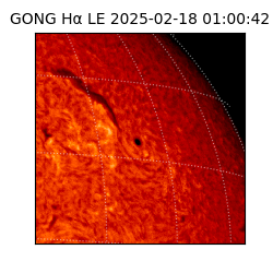 gong - 2025-02-18T01:00:42
