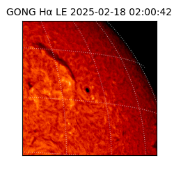 gong - 2025-02-18T02:00:42
